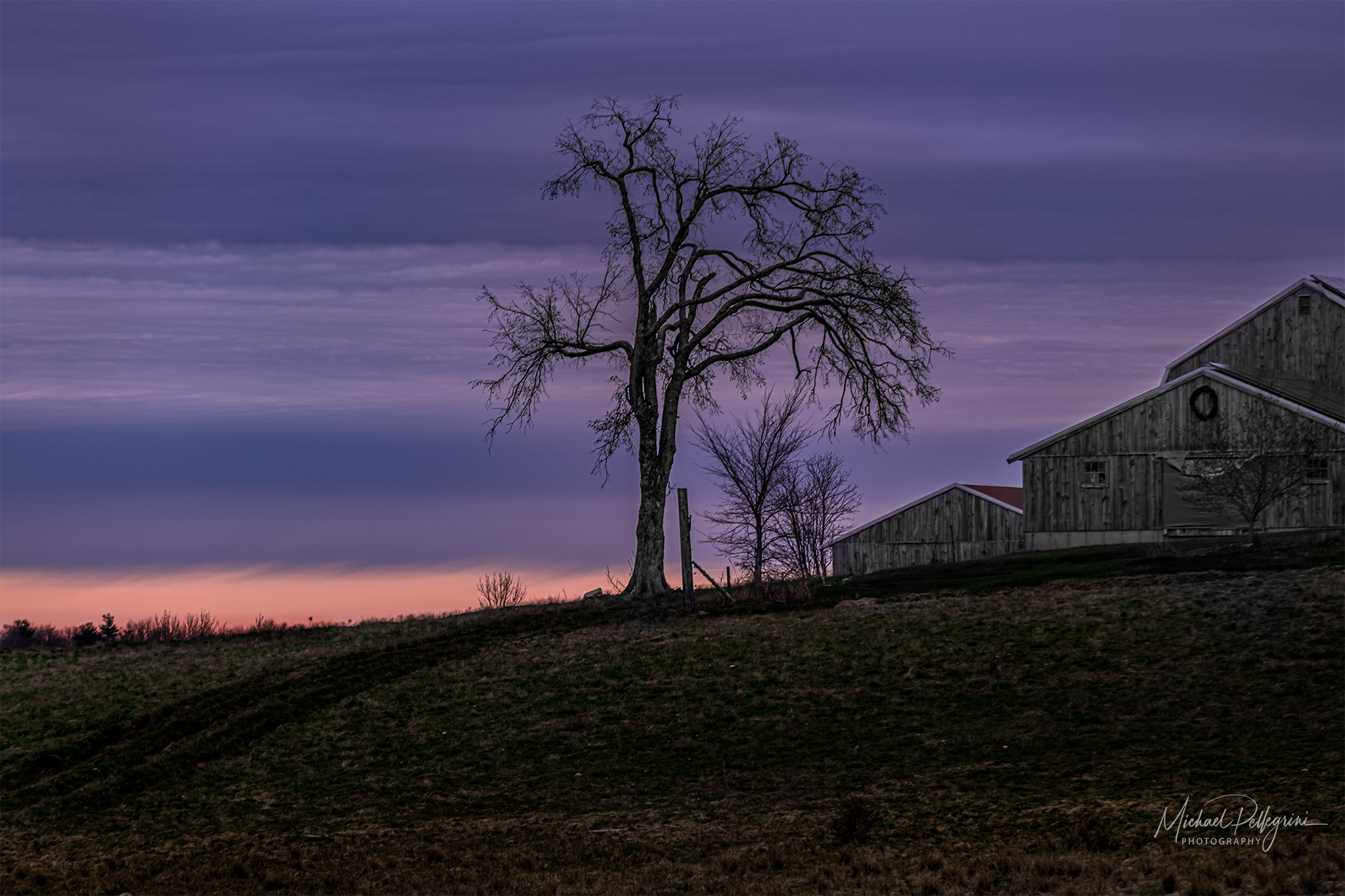 East View Farm