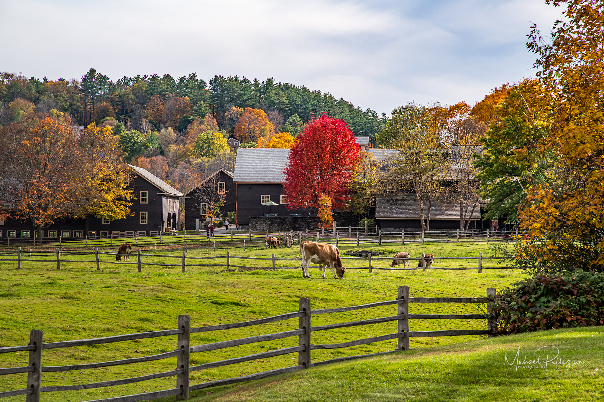 Billings Farm