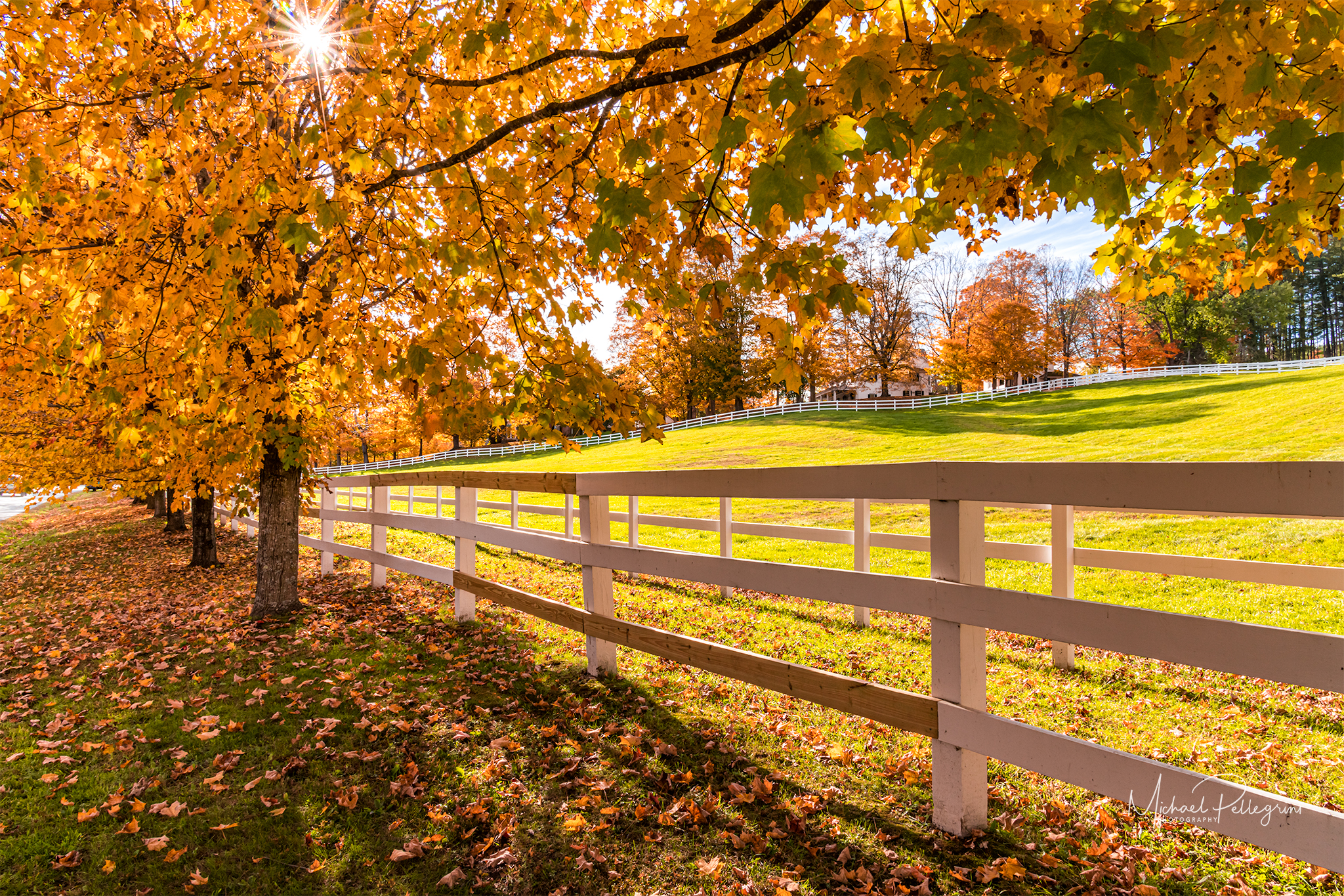 Old River Road Farm